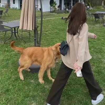 威猛奇兵