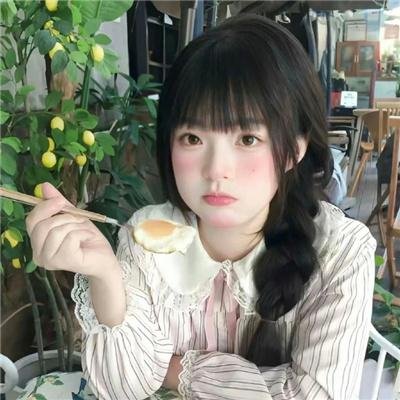 大宋奇案之狸猫换太子传奇